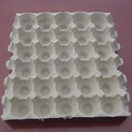 egg tray moulding plant