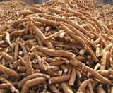 cassava starch plant